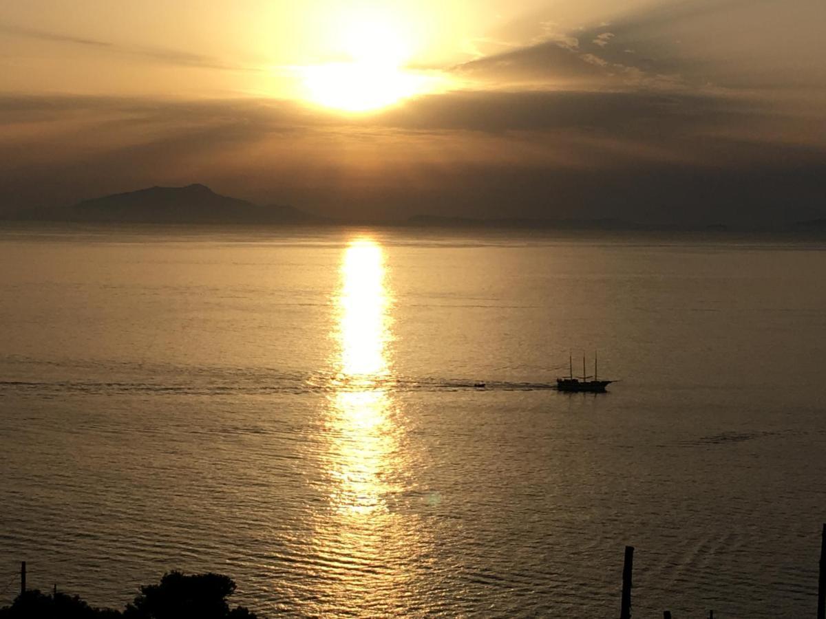 Villa D'Amare Capri View マッサ・ルブレンセ エクステリア 写真